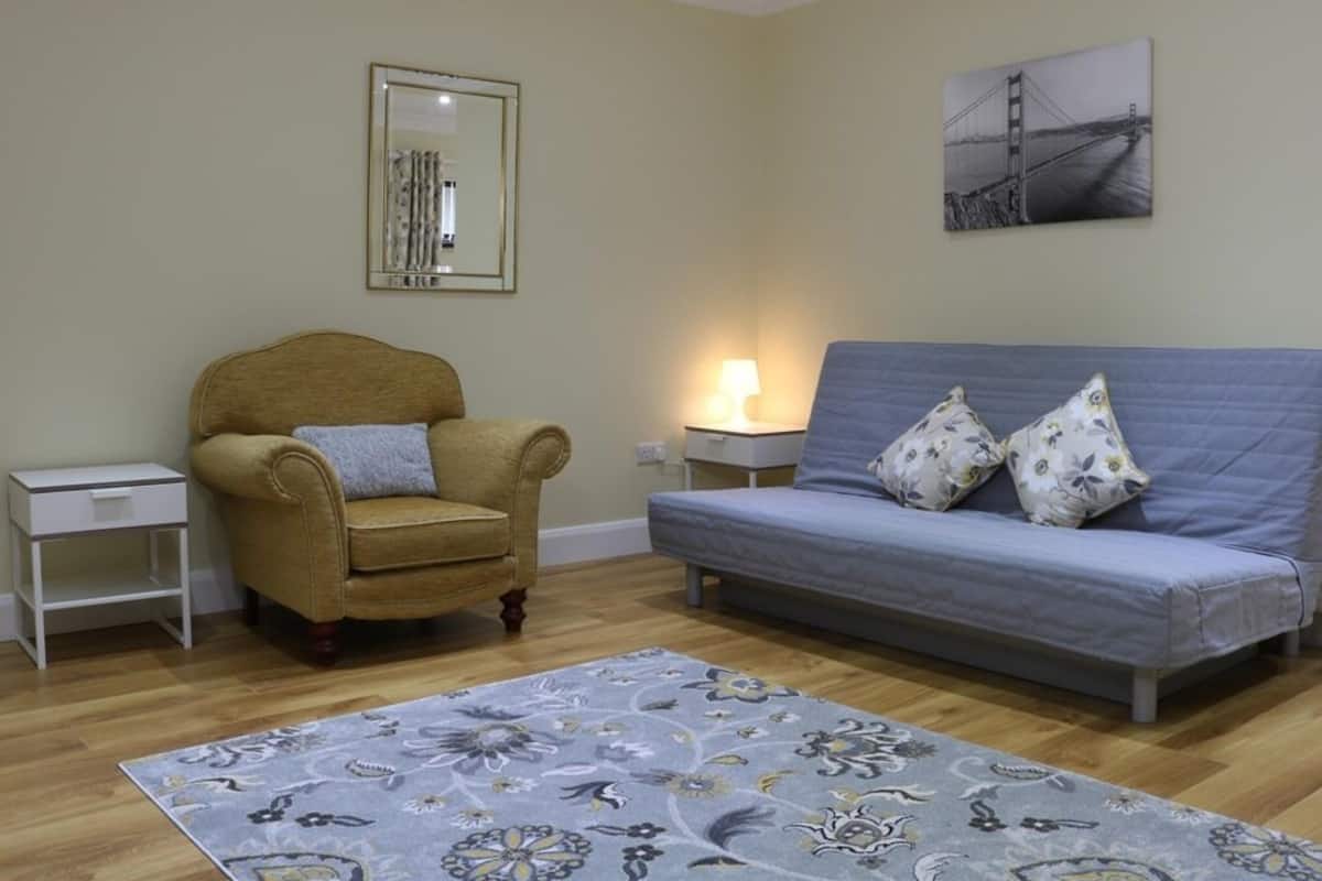 Deluxe Apartment, Private Bathroom | Living room