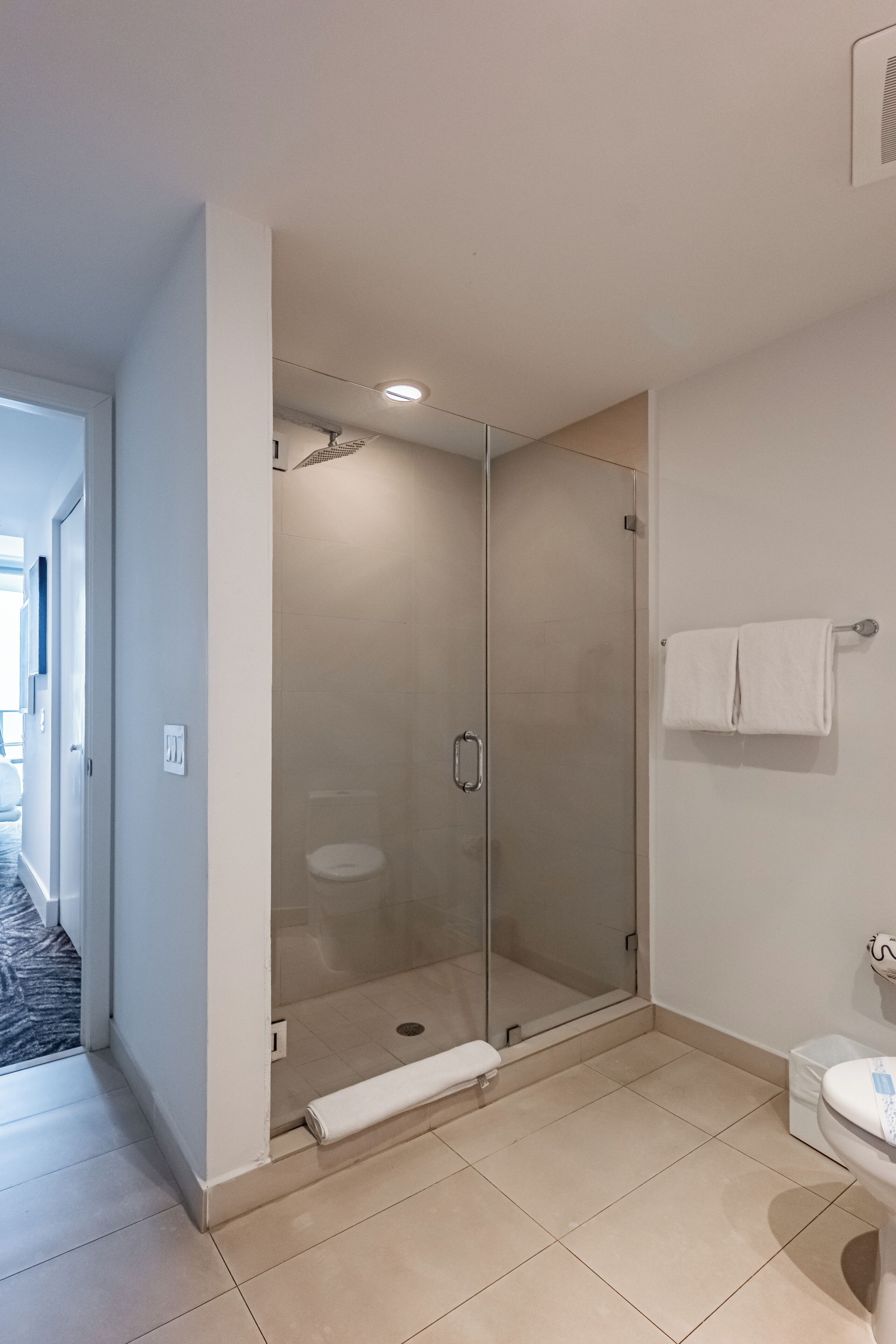 Een moderne badkamer met een douche met glazen wand, toilet en handdoekhouder.