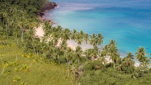 A tropical beach with palm trees and clear blue waters. - Casa Phil (Las Terrenas)