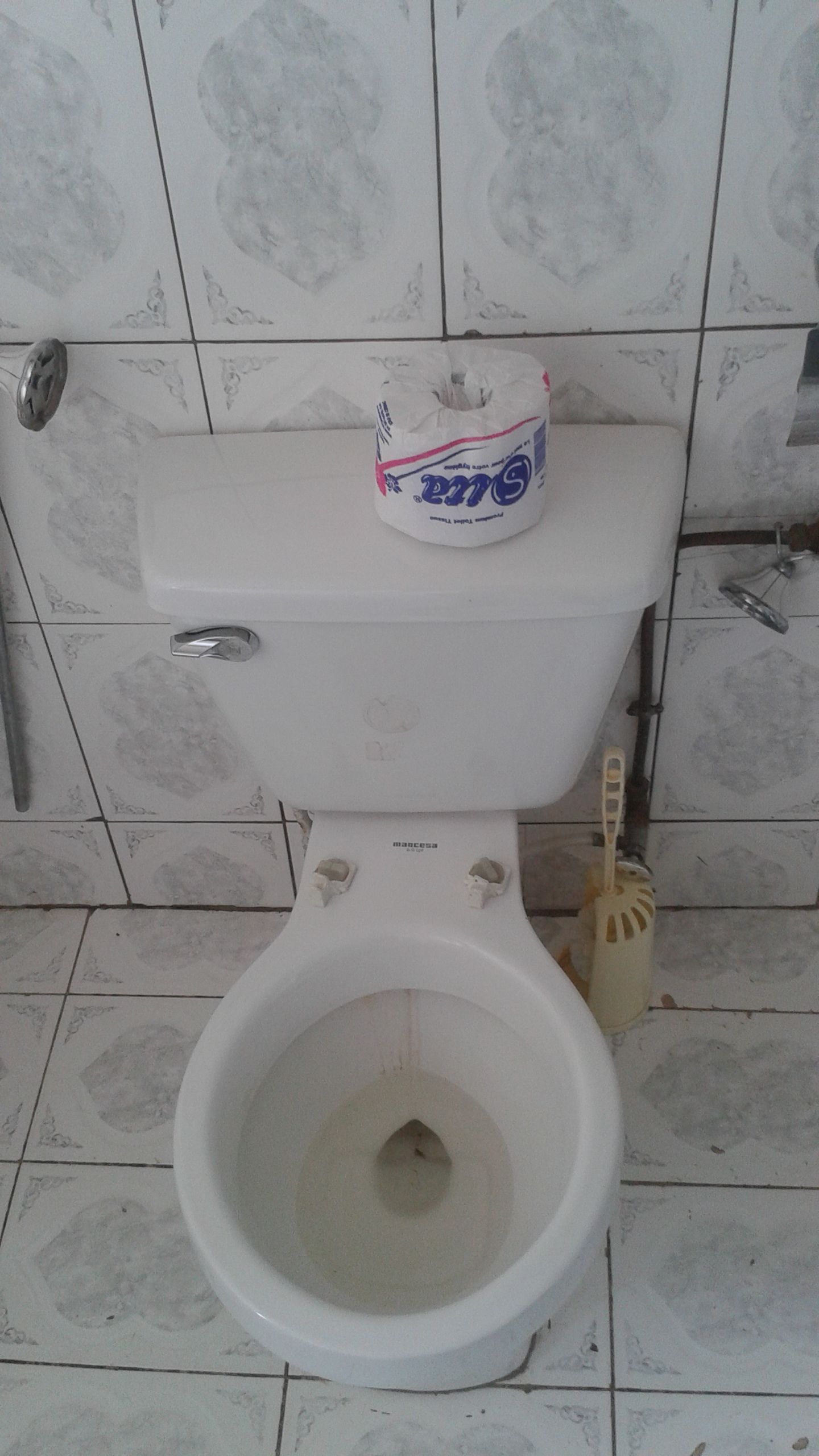A toilet with a toilet paper holder and a bidet attachment.