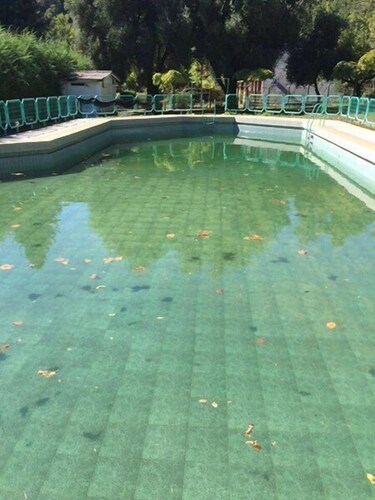 Bosque Los Lleuques Cabaña & Spa