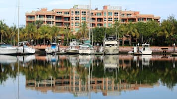 Dock