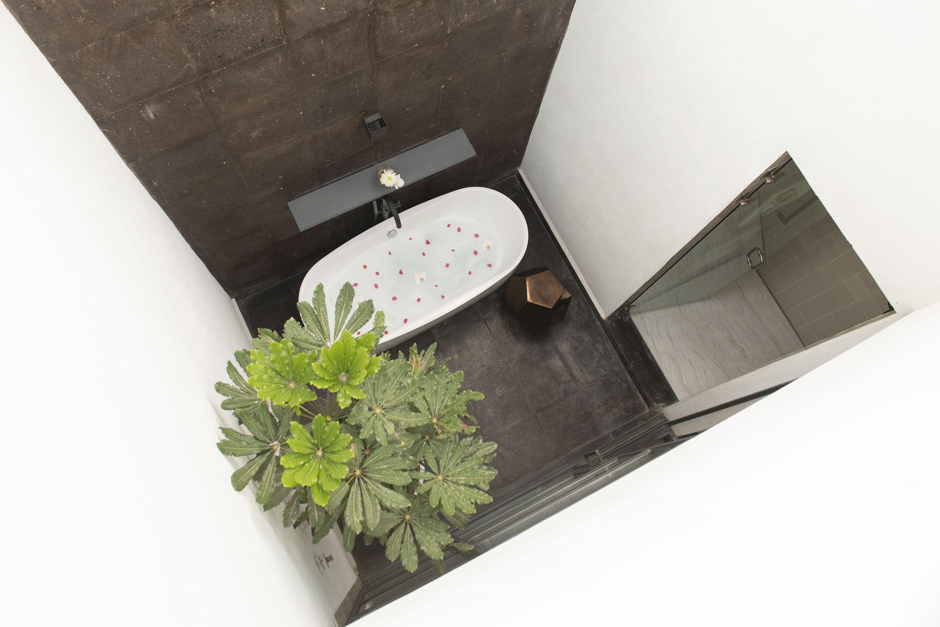 signature suite king | bathroom | shower, free toiletries, bathrobes, slippers