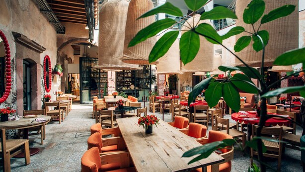 Un comedor interior con mesas y sillas de madera, adornos de techo de mimbre y una variedad de plantas.