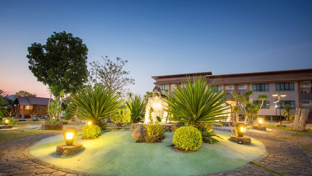 A landscaped garden area with a paved walkway, illuminated by ground lights, surrounded by various plants and a large tree.