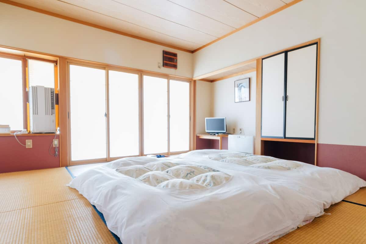 A room with tatami mat flooring, a large bed with a white duvet, a television on a small table, and a wardrobe with sliding doors.