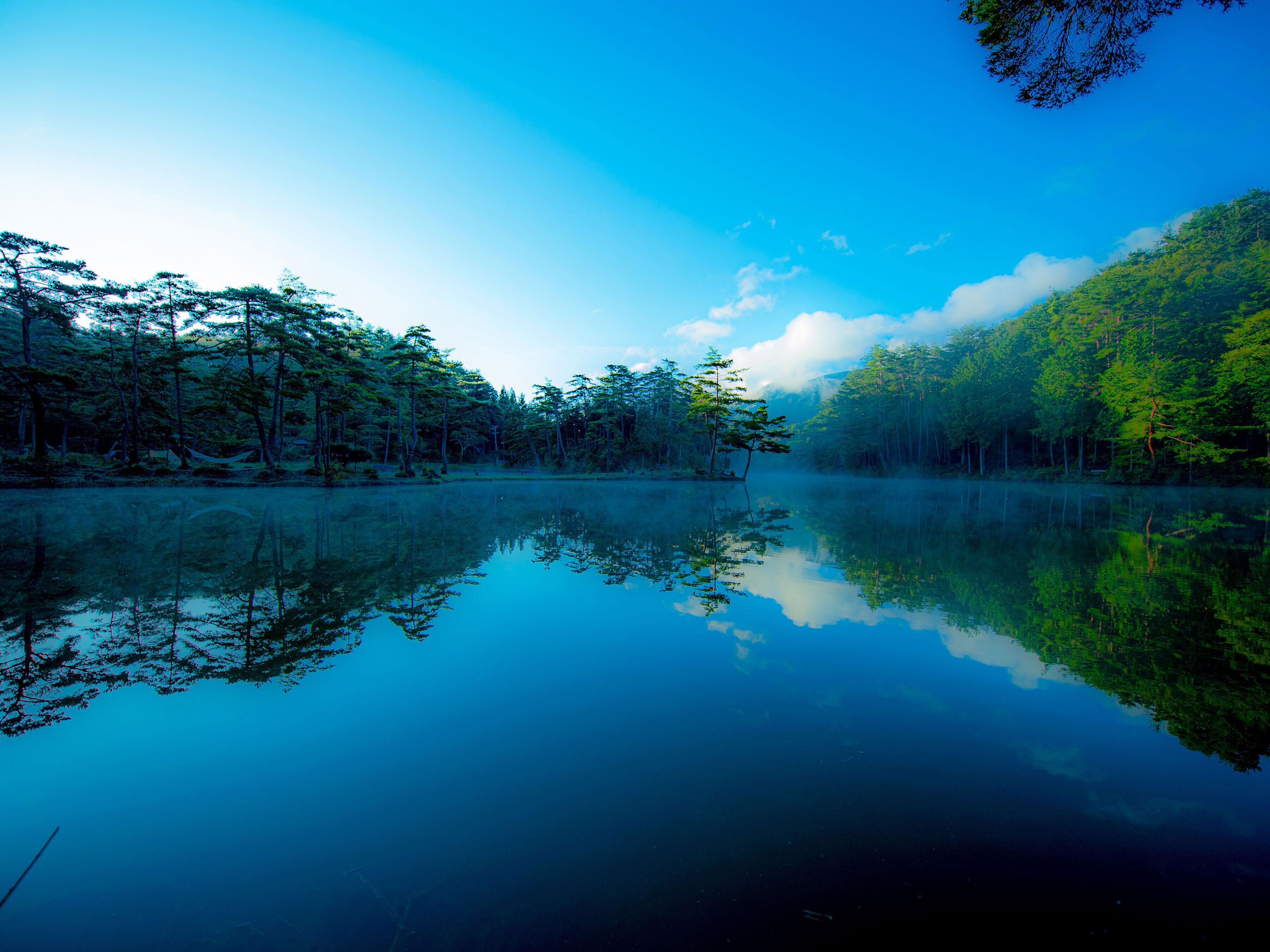 A calm lake surrounded by dense forest.