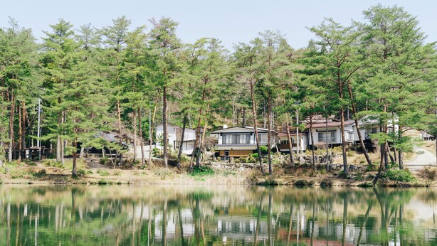 Une propriété au bord du lac, comprenant plusieurs chalets entourés d’une dense forêt de pins.