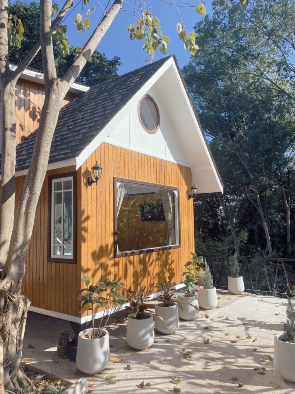 A small wooden house with a pitched roof, a large window, and potted plants around it.