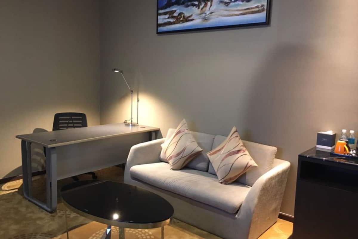 business executive | living area | flat-screen tv