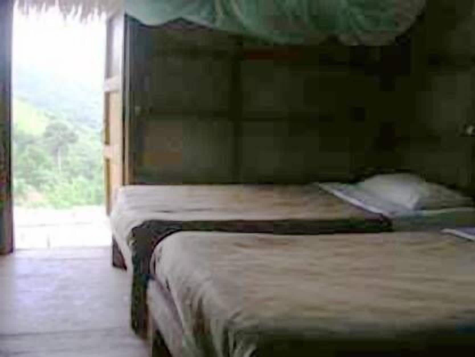 Economy Bungalow | Vista do quarto