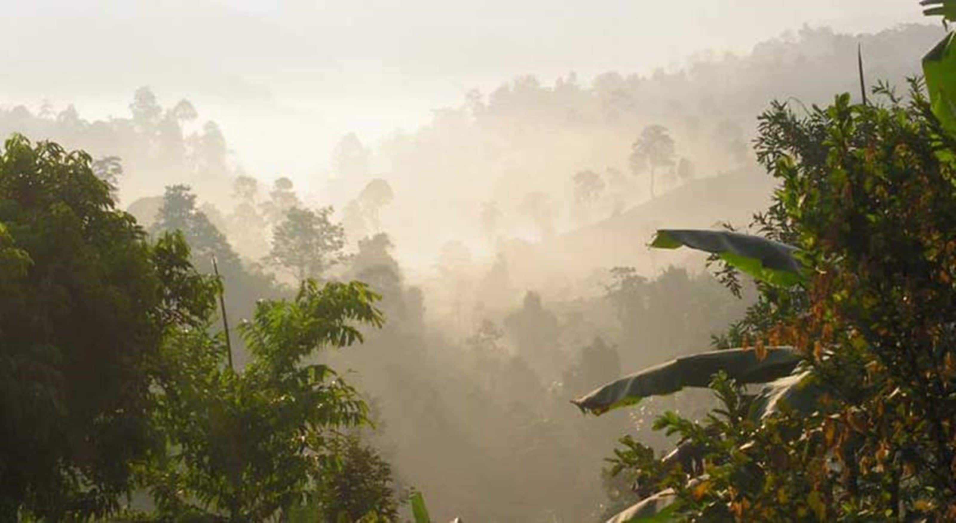 วิวจากที่พัก