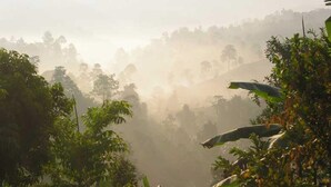 View from property - Akha Hill House (Chiang Rai)