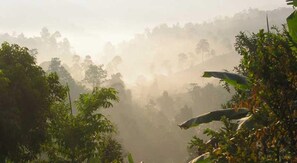 View from property - Akha Hill House (Chiang Rai)