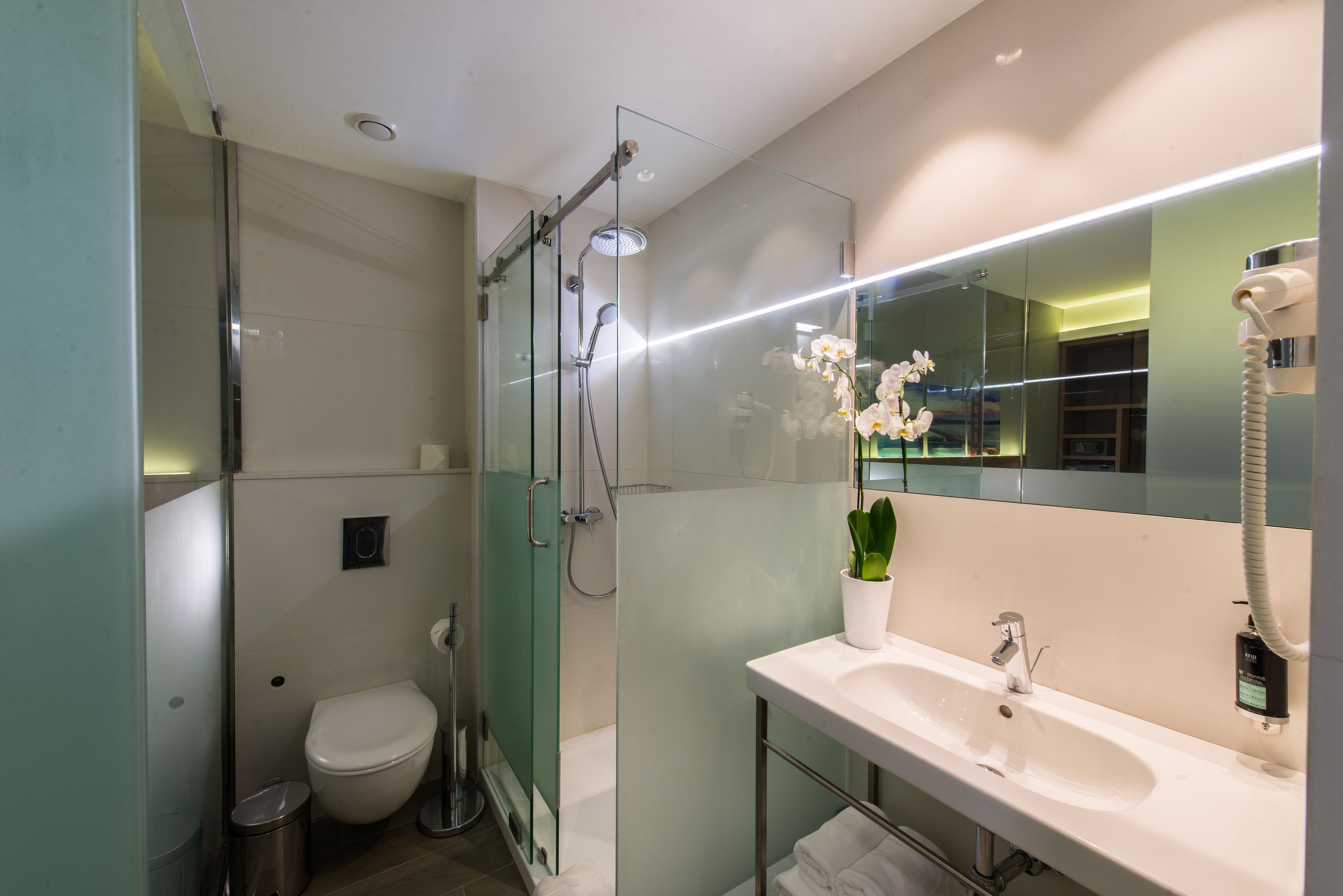 shower, free toiletries, hair dryer, towels