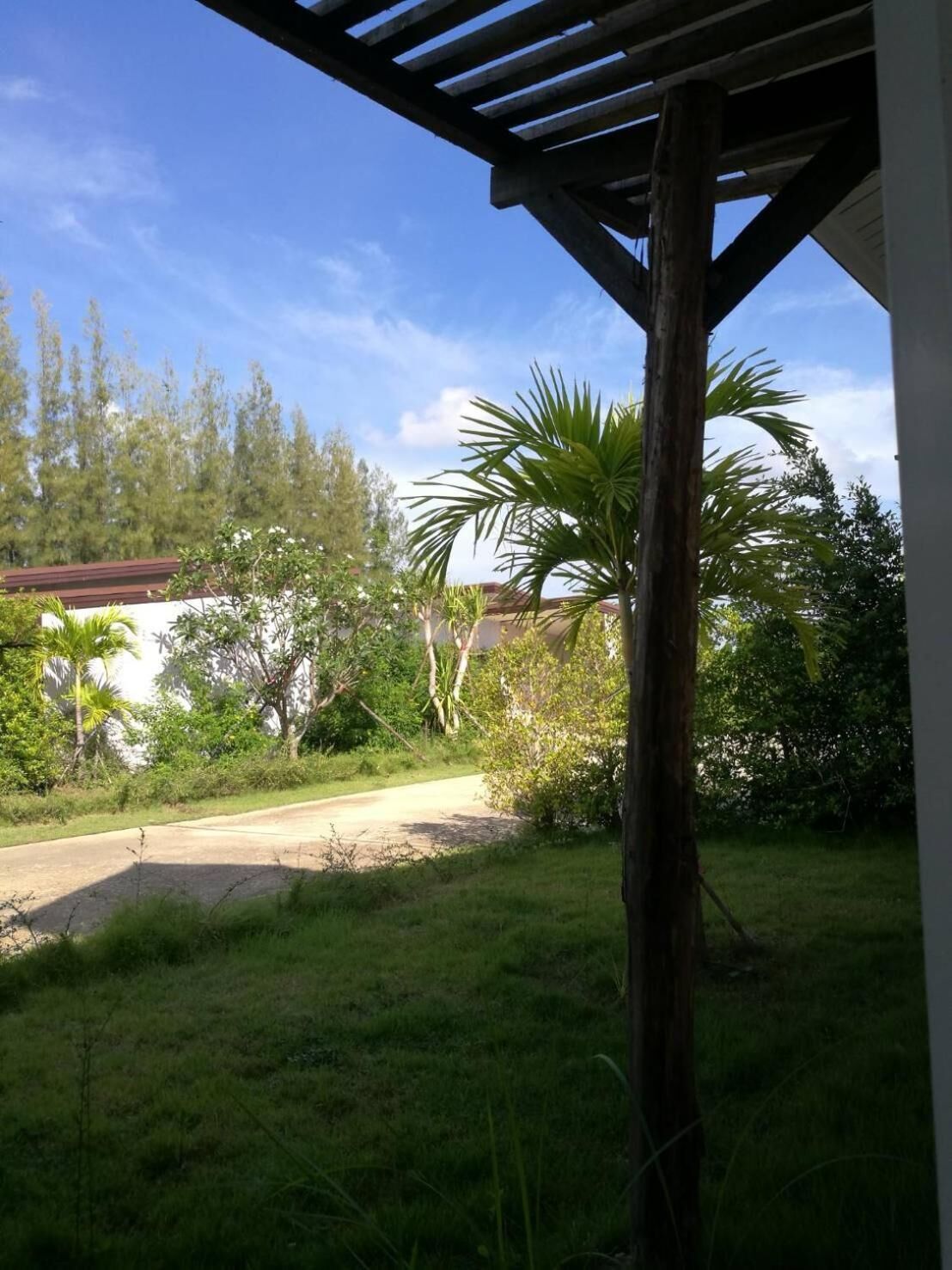 Un espacio al aire libre cubierto con una pérgola de madera, un sendero de tierra y abundante vegetación, incluyendo palmeras.