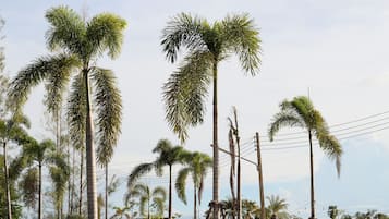 Vista da propriedade