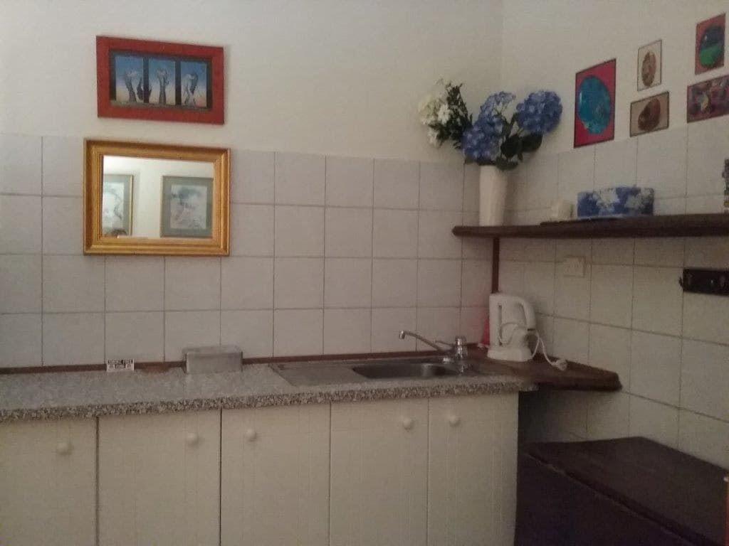 Eine Küche mit Spüle, Arbeitsfläche, Schränken und einem Spiegel. An der Wand befinden sich Bilder in Rahmen und ein Blumenvasen.
