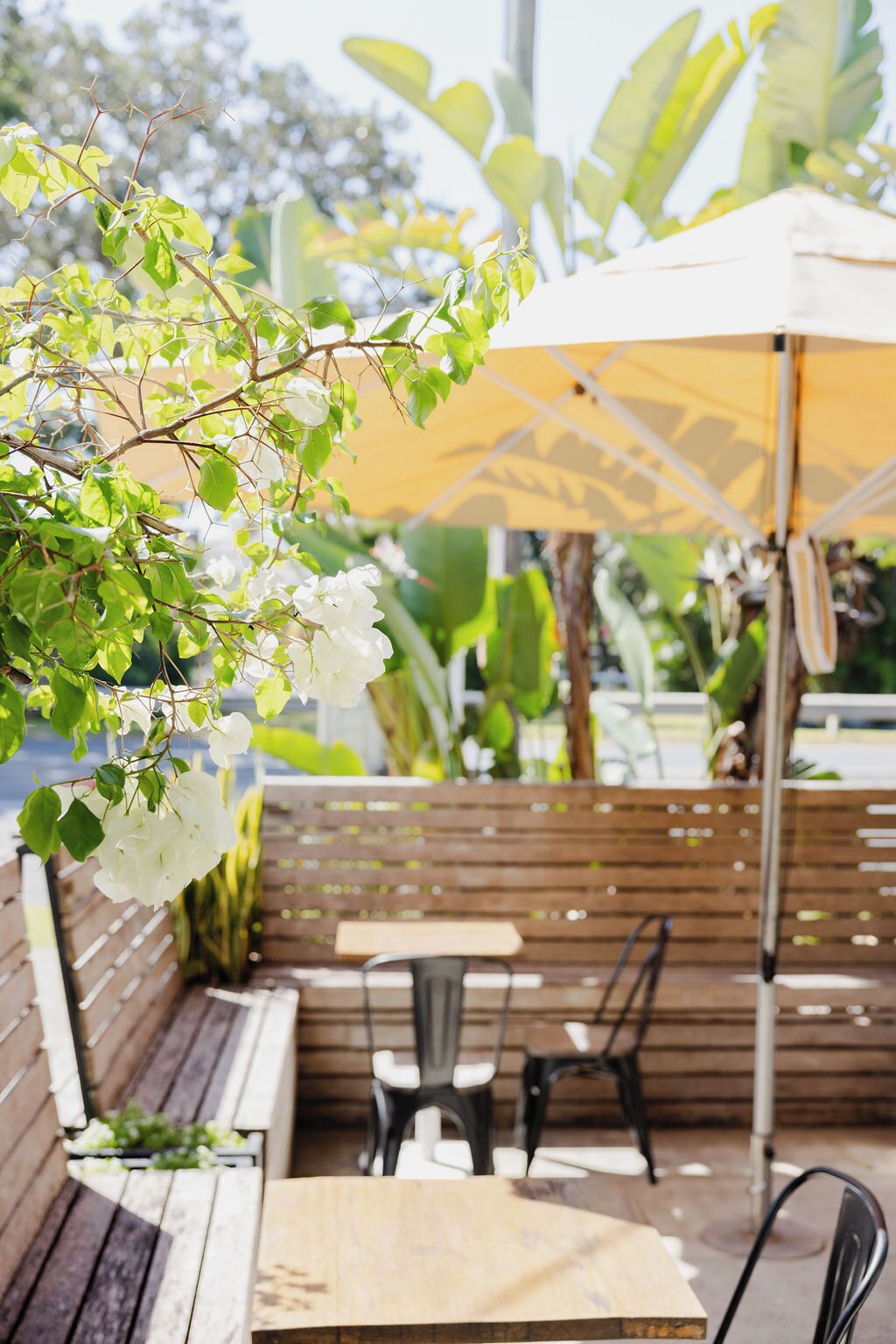 Un patio al aire libre con bancos de madera, una mesa y un paraguas amarillo que da sombra.