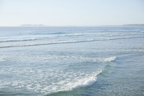 Surfing/boogie boarding - The Brunswick, Brunswick Heads (Brunswick Heads)