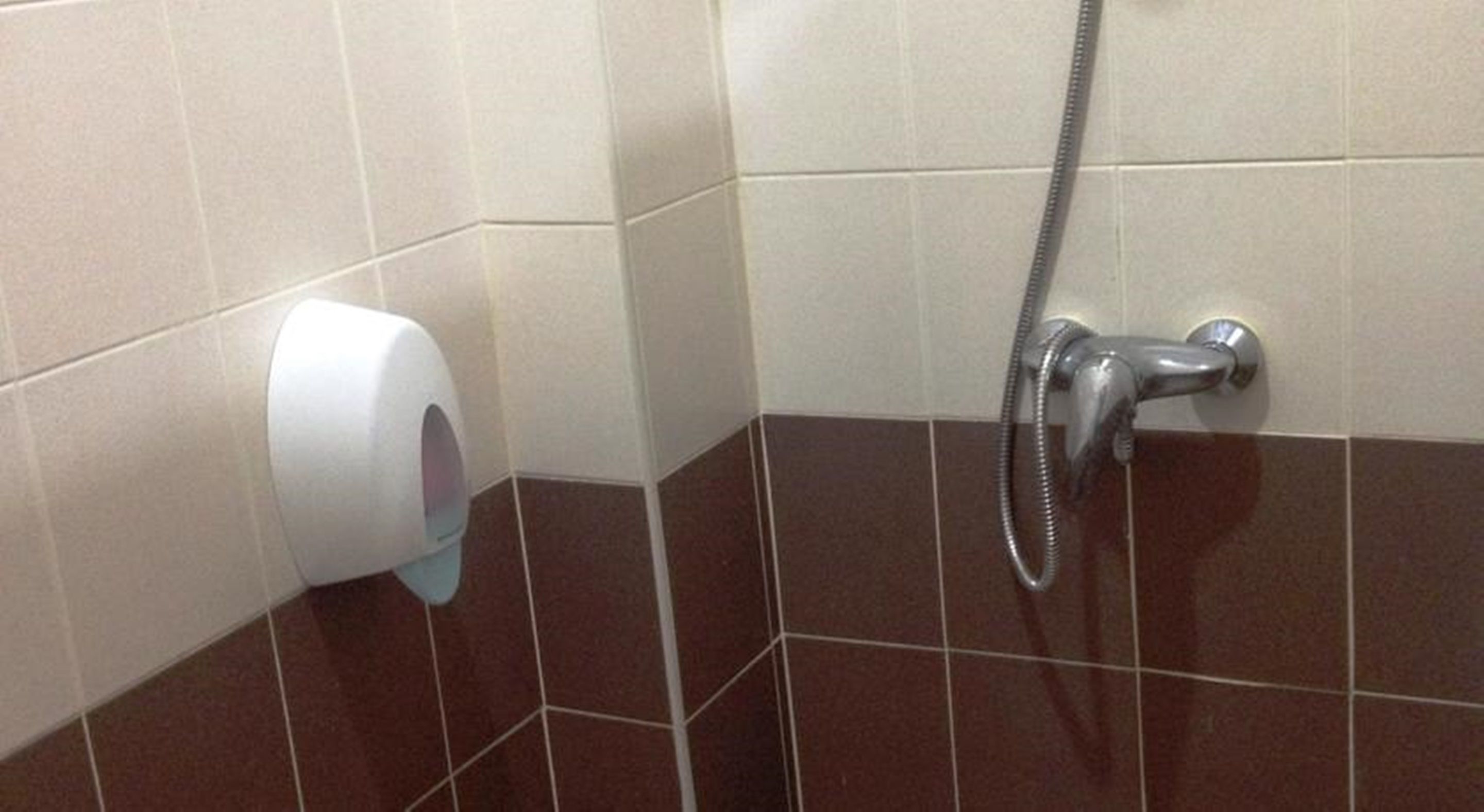 Esquina de un baño con dispensador de toallas de papel y cabezal de ducha.