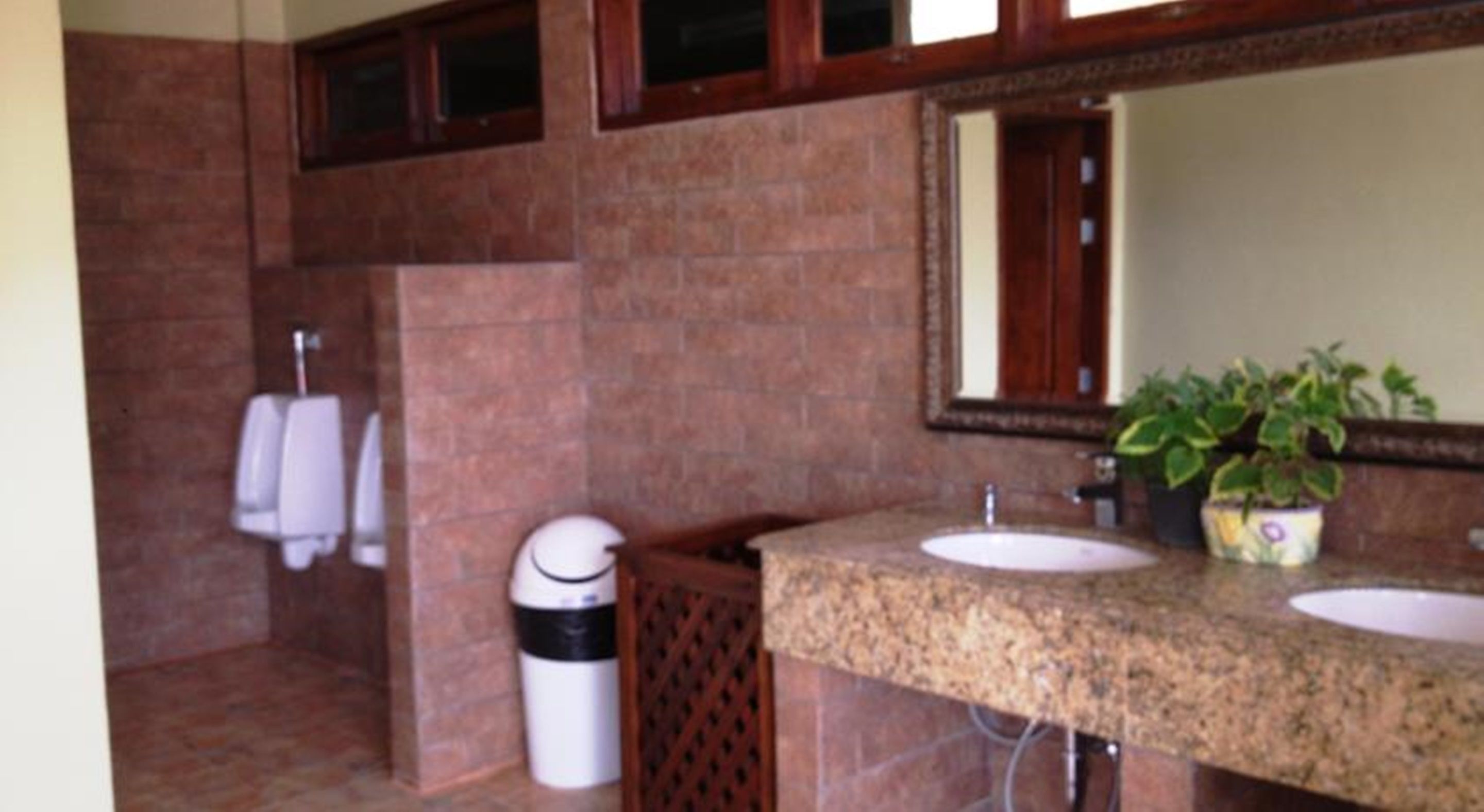 A bathroom with two sinks, a mirror, and a potted plant.