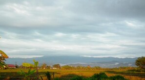 Kilátás a szállásról