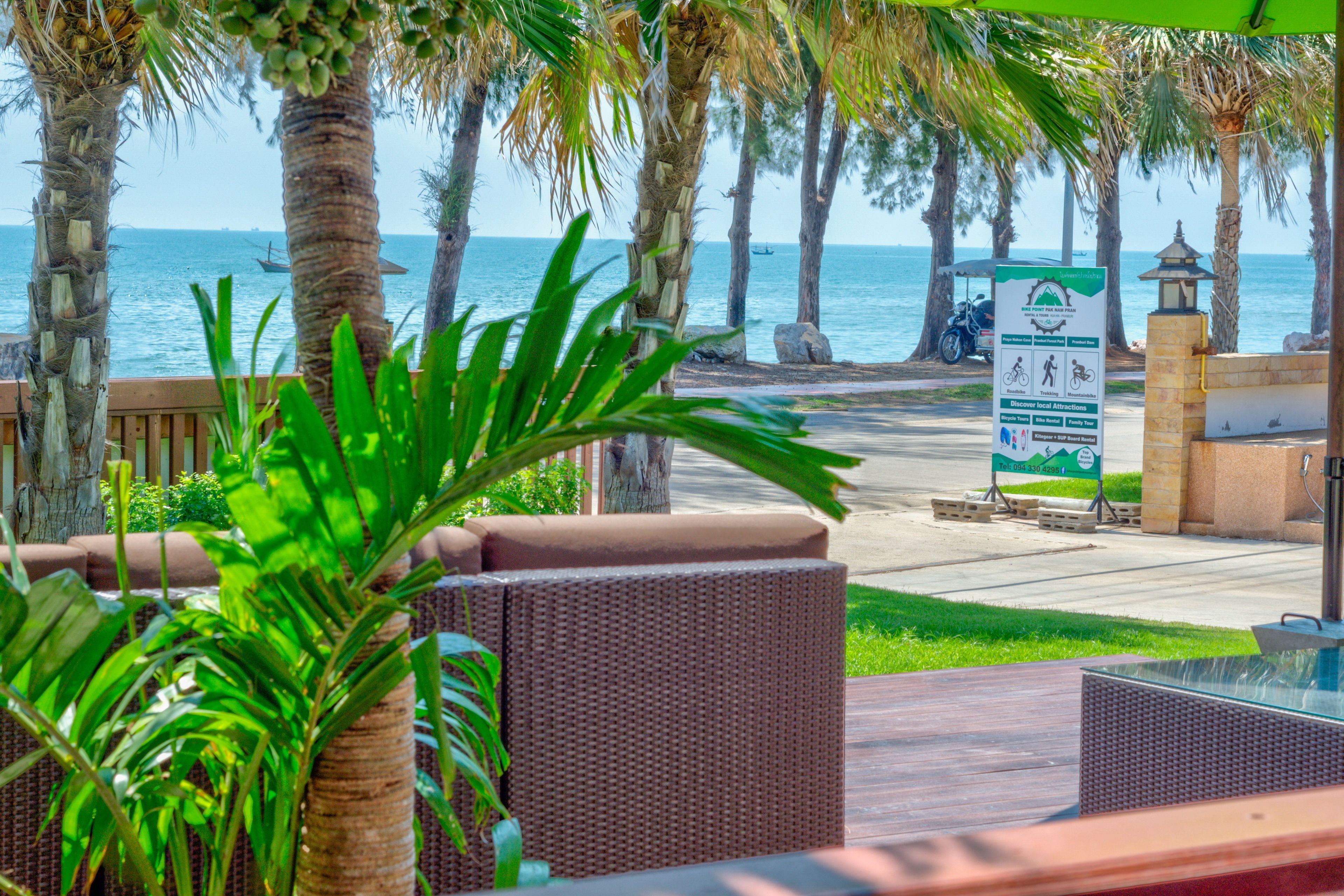 A view of a beachside area with palm trees, a signboard, and a paved walkway.
