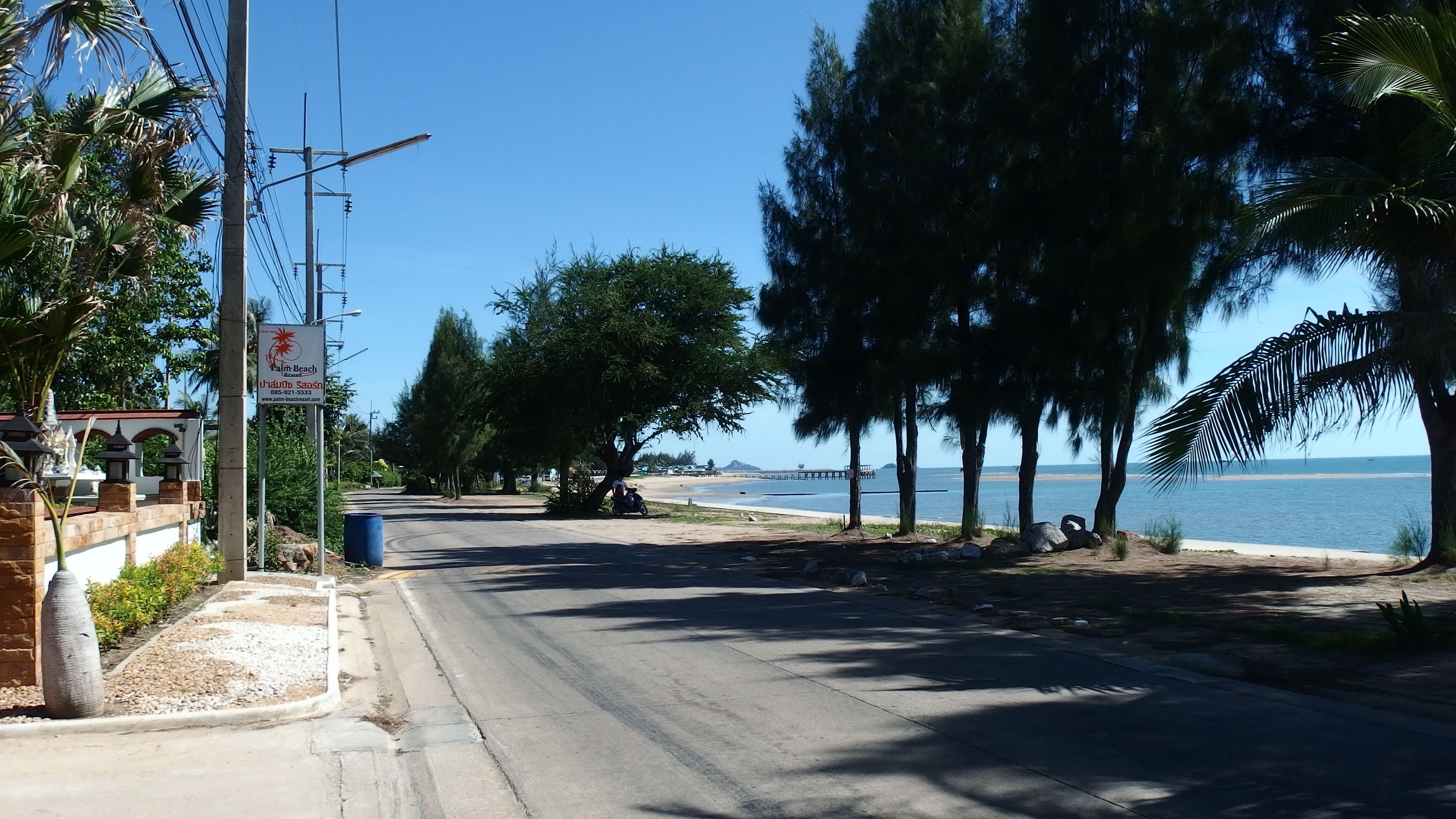 Ένας παράκτιος δρόμος με θέα στην παραλία, φοίνικες και μια πινακίδα.