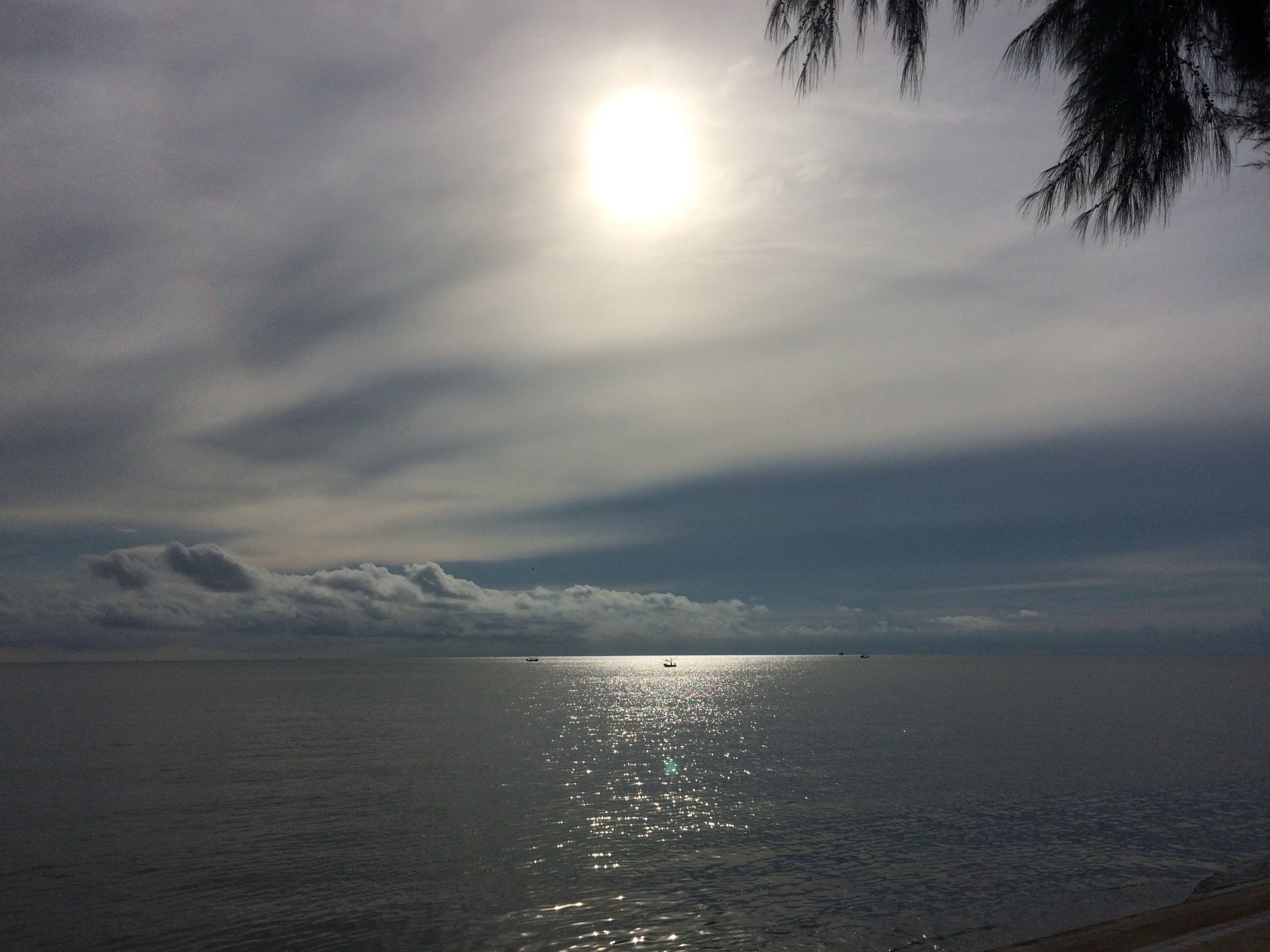 Foto - Palm Beach Resort