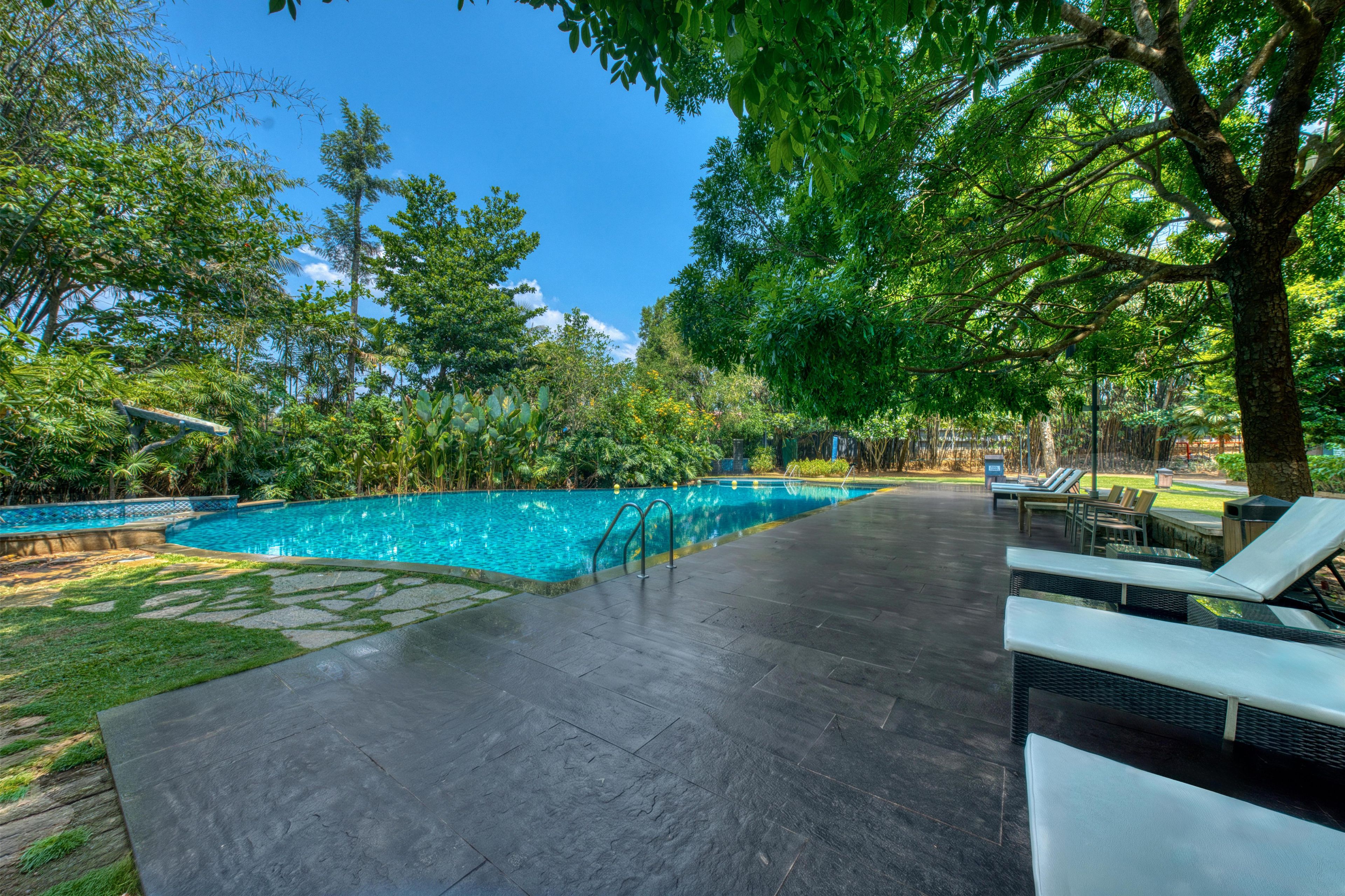 Outdoor pool, sun loungers