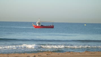 Ubicación a pie de playa, tumbonas, sombrillas y toallas de playa