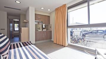 22-inch flat-screen TV with satellite channels, TV