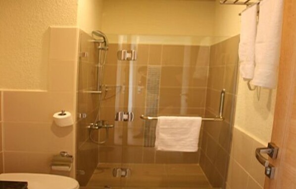 A small, enclosed shower area with a glass door, a toilet, and a towel rack.