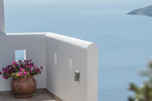 Vista desde la propiedad