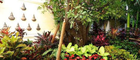 Um jardim interno exuberante com diversas plantas e uma árvore no centro.