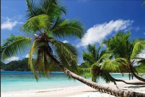 Beach nearby - Hotel Bel Air (Mahé Island)