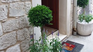 A stone building entrance with a wooden door, a security keypad, and potted plants with green foliage and purple flowers.