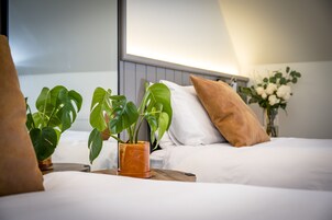 双床房 | 熨斗/熨板、免费 WiFi、床单