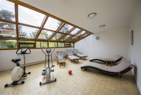 A spacious room with a skylight, exercise equipment, lounge chairs, and a red exercise ball. - Hotel Pavilon (Ricany)