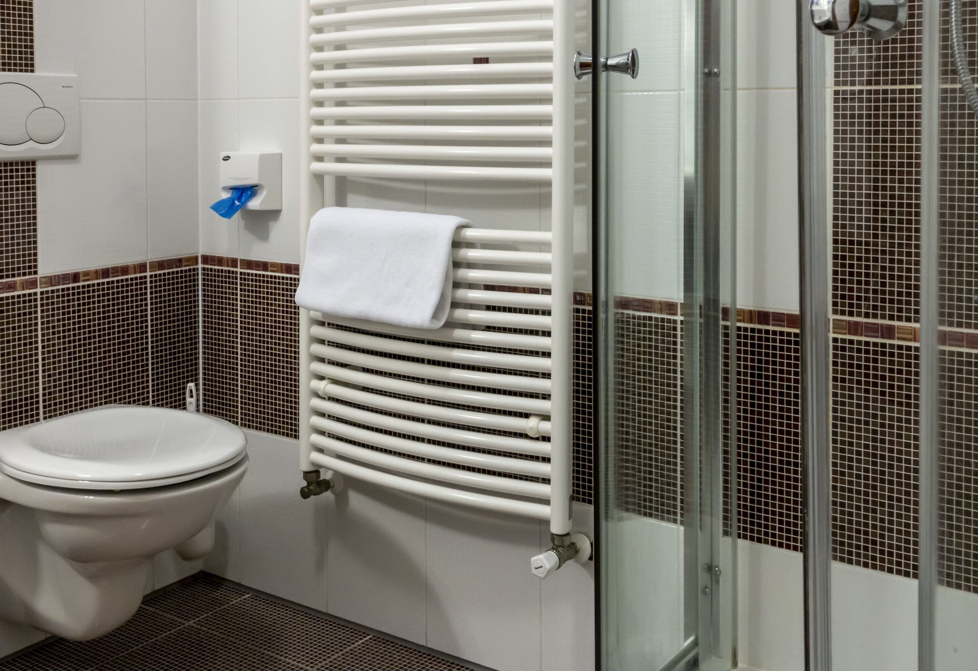 apartment | bathroom | shower, free toiletries, hair dryer, towels