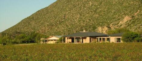 A two-story house with a flat roof and large windows, surrounded by a vineyard and a mountainous backdrop.