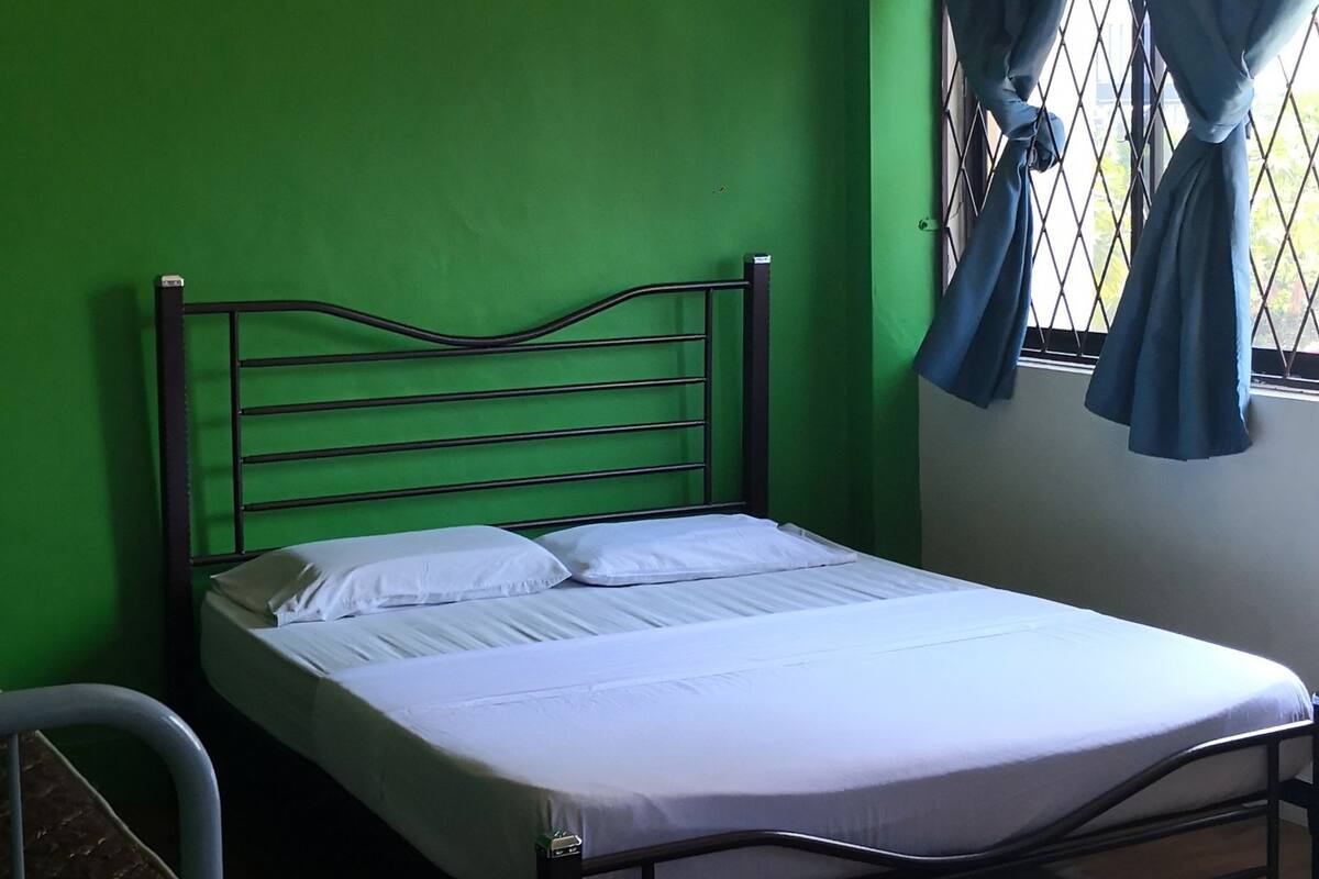 A single bed with a metal frame, a green wall, a window with blue curtains, and a ceiling fan.