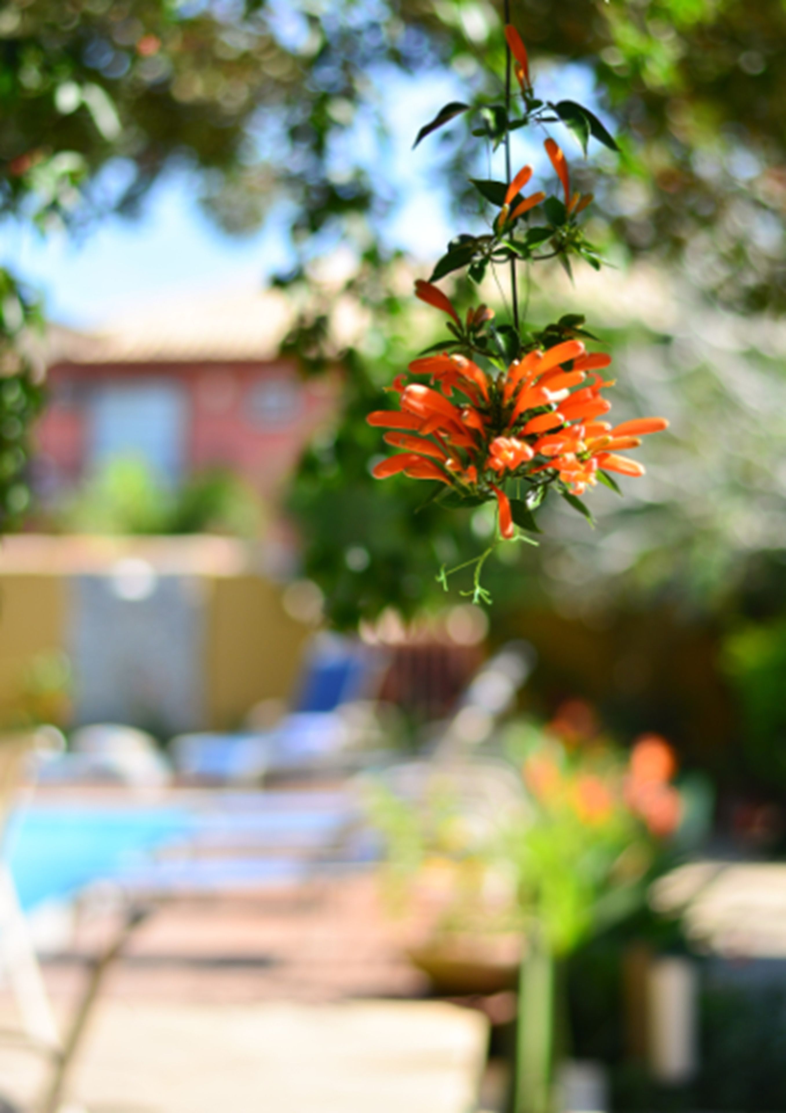 Foto - Pousada do Namorado