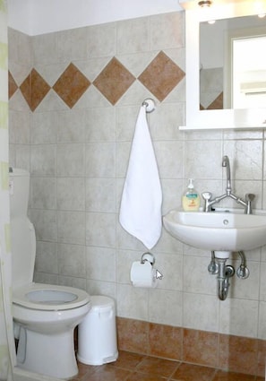 Shower, free toiletries, hair dryer