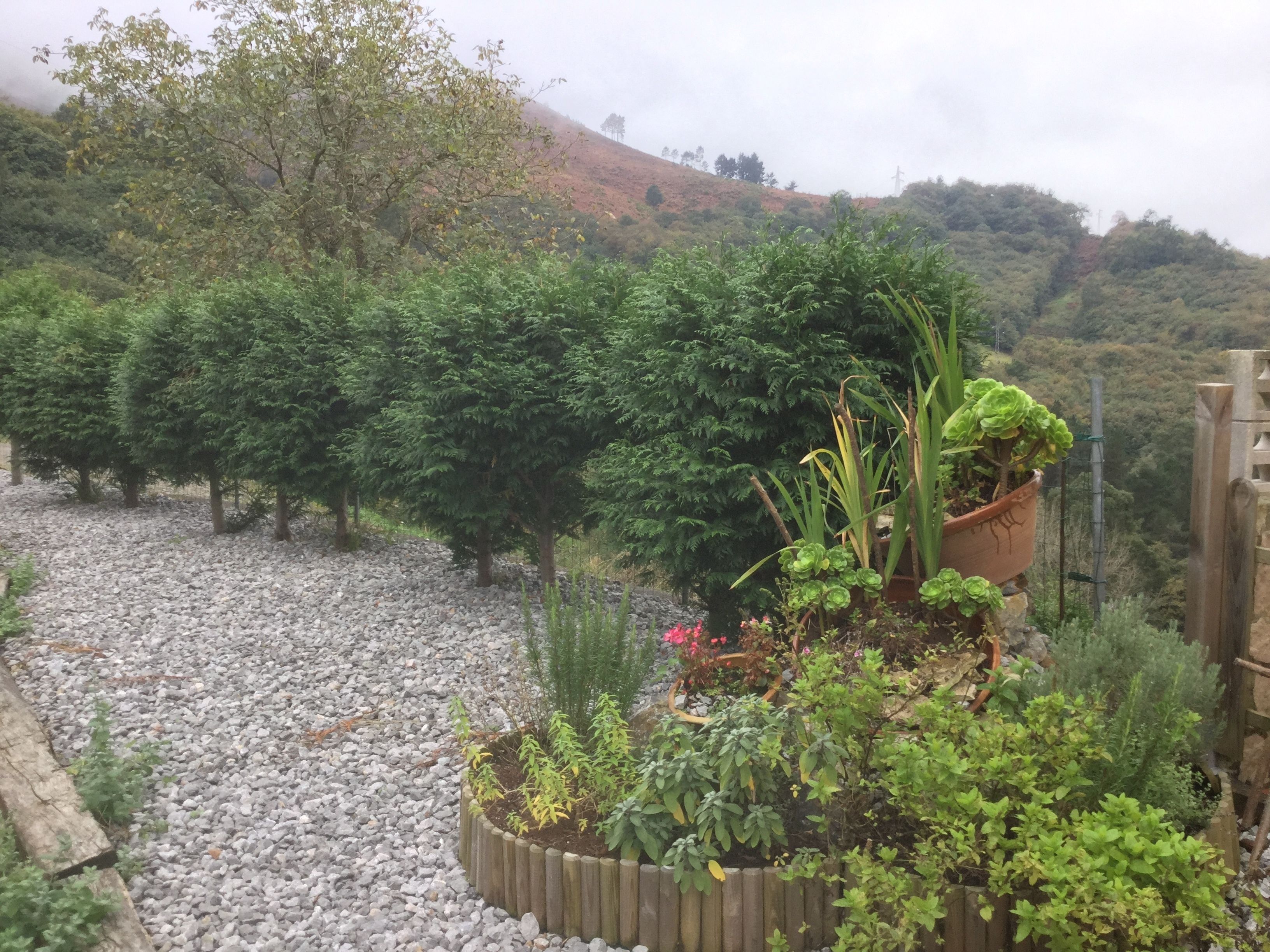 Áreas de la propiedad