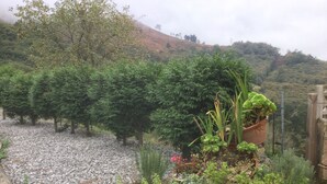 A garden with various plants and trees, a wooden fence, and a gravel path. - Spa Rural Mirador de Miranda (Belmonte de Miranda)