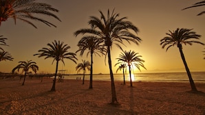 Ein Strand mit Palmen und einem Sonnenuntergang.