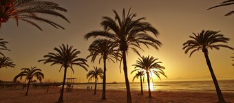 Indico Rock Hotel Mallorca - Adults Only