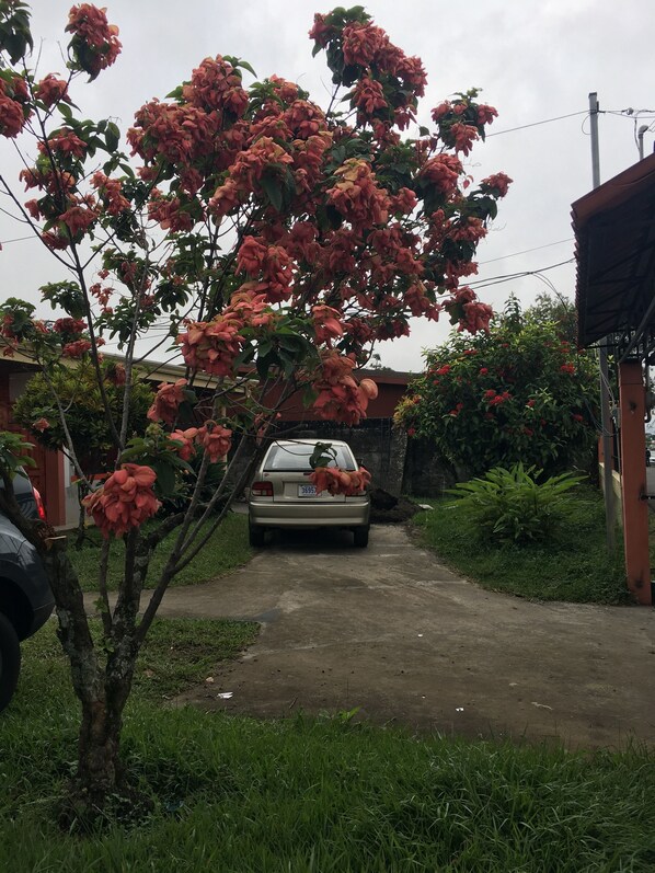A car parked in a driveway with a tree in the foreground. - Hotel Your House (Rio Segundo)